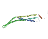 Thyroid Hormone Receptor Interactor 10 (TRIP10)