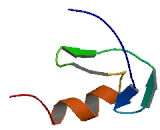 Thyroid Hormone Receptor Interactor 3 (TRIP3)