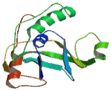 Thyroid Hormone Receptor Interactor 4 (TRIP4)