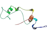 Thyroid Peroxidase (TPO)