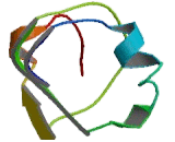 Thyrotropin Releasing Hormone Receptor (TRHR)