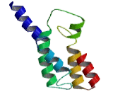 Tight Junction Associated Protein 1, Peripheral (TJAP1)