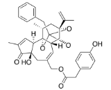 Tinyatoxin (TTX)