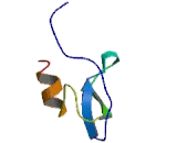 Tissue Factor Pathway Inhibitor (TFPI)