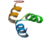 Toll Interacting Protein (TOLLIP)