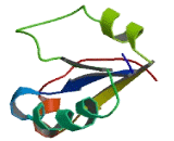 Toll Interleukin 1 Receptor Domain Containing Adaptor Protein (TIRAP)