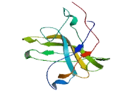 Tongue Cancer Chemotherapy Resistance Associated Protein 1 (TCRP1)