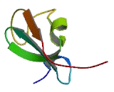 Topoisomerase I Binding, Arginine/Serine Rich (TOPORS)