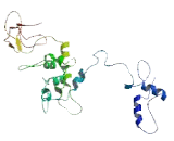 TraB Domain Containing Protein (TRABD)