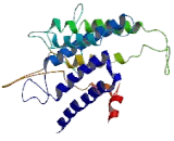 Trace Amine Associated Receptor 1 (TAAR1)