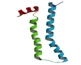 Trace Amine Associated Receptor 2 (TAAR2)