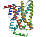 Trace Amine Associated Receptor 3 (TAAR3)