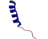 Trace Amine Associated Receptor 5 (TAAR5)