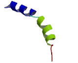 Trace Amine Associated Receptor 9 (TAAR9)