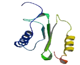 Trafficking Protein Particle Complex 2 Like Protein (TRAPPC2L)