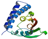 Trafficking Protein Particle Complex 3 (TRAPPC3)