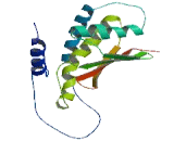 Trafficking Protein Particle Complex 6A (TRAPPC6A)