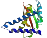 Trafficking Protein Particle Complex 6B (TRAPPC6B)