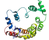 Trafficking Protein Particle Complex 8 (TRAPPC8)