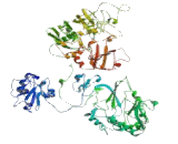 Trafficking Protein Particle Complex 9 (TRAPPC9)