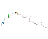 Transcription Elongation Factor A Like Protein 1 (TCEAL1)