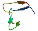 Transcription Elongation Factor A Like Protein 4 (TCEAL4)