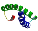 Transcription Elongation Factor A Like Protein 7 (TCEAL7)