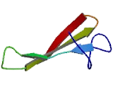 Transcription Elongation Factor A2 (TCEA2)