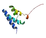 Transcription Elongation Factor A3 (TCEA3)