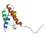 Transcription Elongation Factor B Polypeptide 3C Like Protein 1 (TCEB3CL)