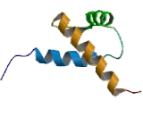 Transcription Elongation Regulator 1 (TCERG1)