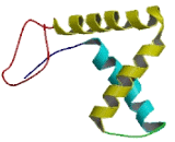 Transcription Factor 7 Like Protein 1 (TCF7L1)