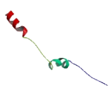 Transcription Factor 7 Like Protein 2 (TCF7L2)