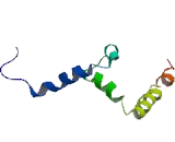 Transcription Factor AP4 (TFAP4)