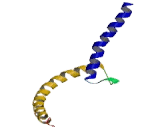 Transcription Factor Binding To IGHM Enhancer 3 (TFE3)