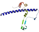 Transcription Factor Dp1 (TFDP1)