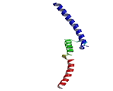 Transcription Factor EB (TFEB)