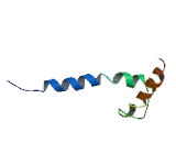 Transcription Factor EC (TFEC)