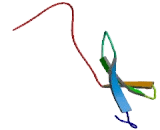 Transcription Factor IIIB 50kDa (TFIIIB50)