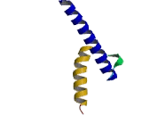 Transcription factor 12 (TCF12)