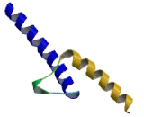 Transcription factor 15 (TCF15)