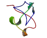 Transcription factor 19 (TCF19)