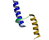 Transcription factor 23 (TCF23)