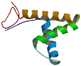 Transcription factor 7 (TCF7)