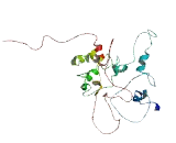 Transcriptional Adaptor 1 (TADA1)