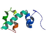 Transcriptional Adaptor 2 Alpha (TADA2a)