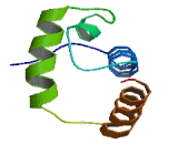 Transcriptional Adaptor 2 Beta (TADA2b)