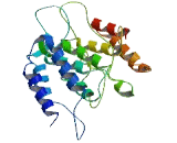 Transcriptional Adaptor 3 (TADA3)