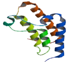 Transcriptional Intermediary Factor 1 Alpha (TIF1a)