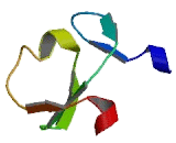 Transcriptional Intermediary Factor 1 Gamma (TIF1g)